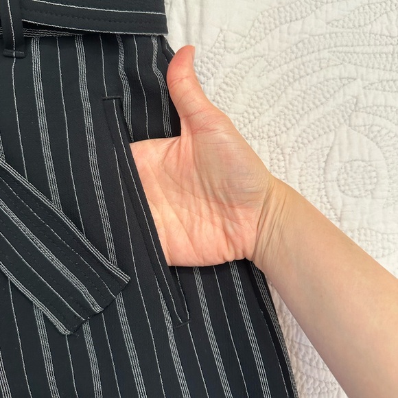 Aritzia Wilfred Tie Front Stripe Pants / Trousers - Picture 11 of 14